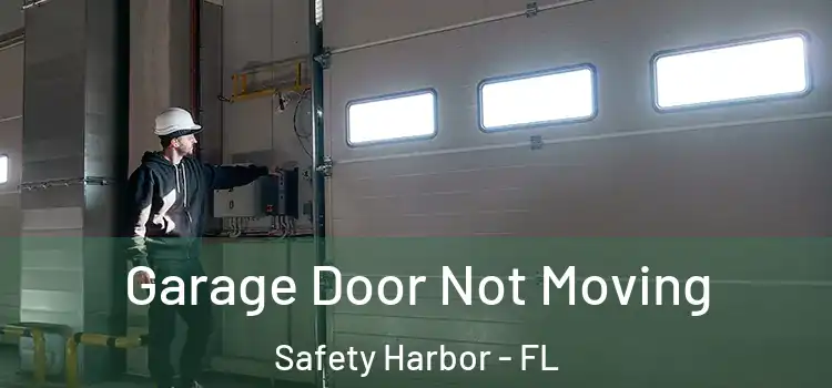  Garage Door Not Moving Safety Harbor - FL