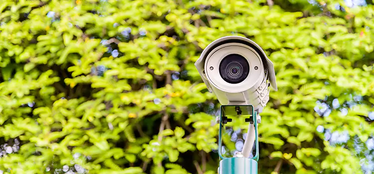 Advanced Surveillance Solutions for Every Need in Safety Harbor