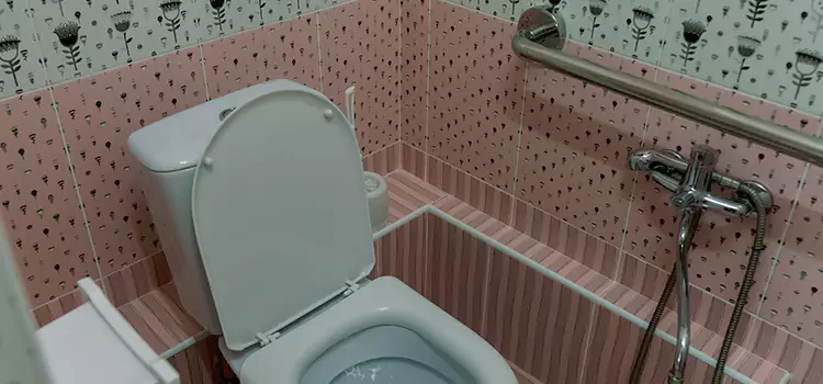 Meeting Diverse Needs With Accessible Restroom Solutions in Safety Harbor, FL