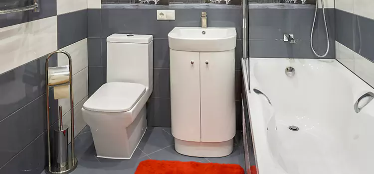 Hansgrohe Shaving Mirror Safety Harbor