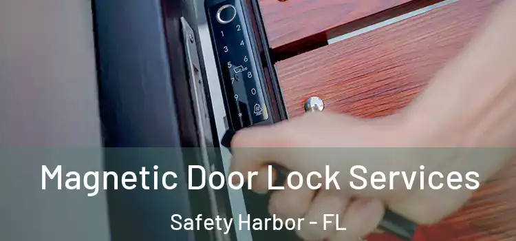  Magnetic Door Lock Services Safety Harbor - FL